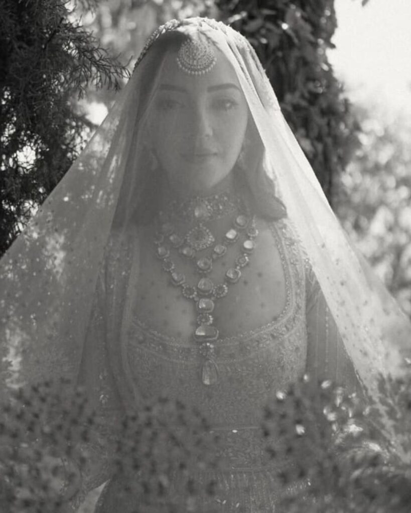 Mehreen Parida wedding jewellery look breakdown